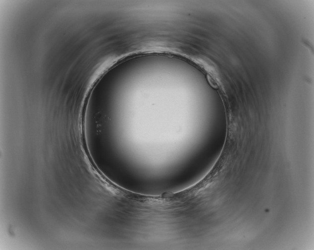 X0000098011191200803281305