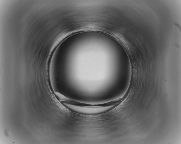 X0000098011192200803281305