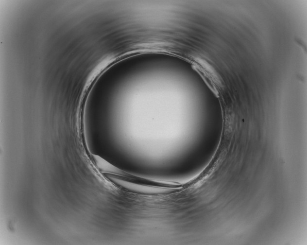 X0000098011196200803281305