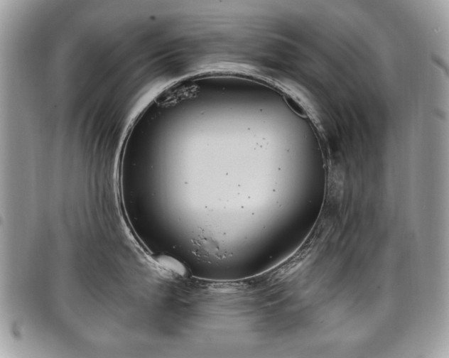 X0000098011199200803281305