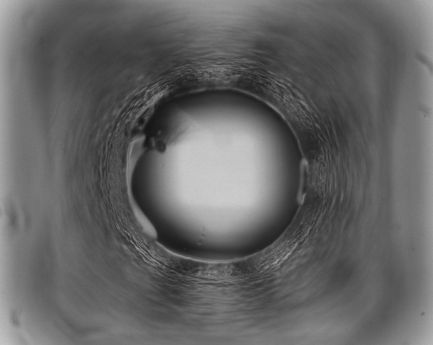 X0000098011201200803281304