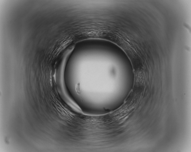 X0000098011202200803281304