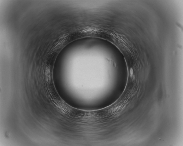 X0000098011203200803281304