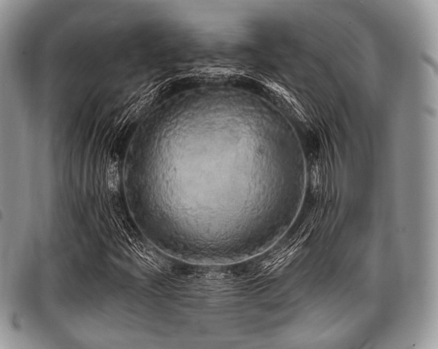 X0000098011204200803281304