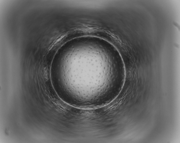 X0000098011205200803281304