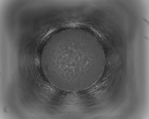 X0000098011206200803281304