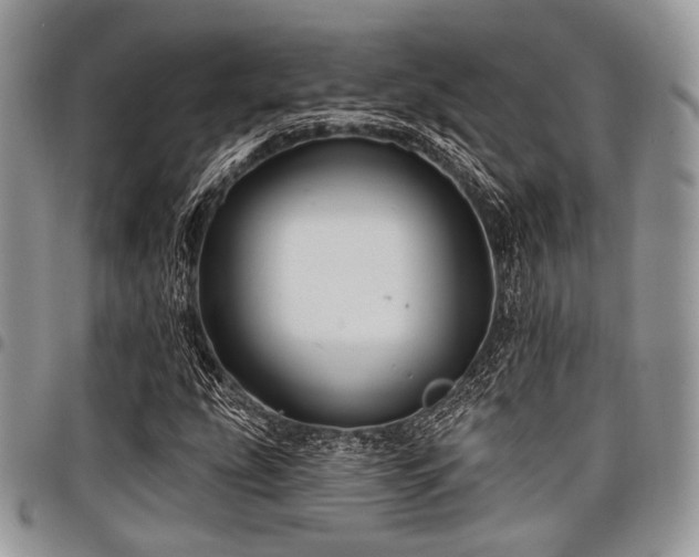 X0000098011207200803281305