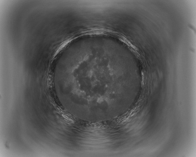 X0000098011208200803281305