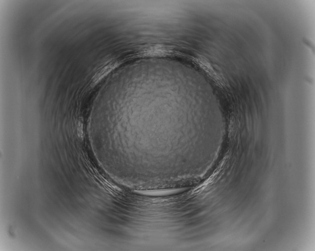 X0000098011209200803281305