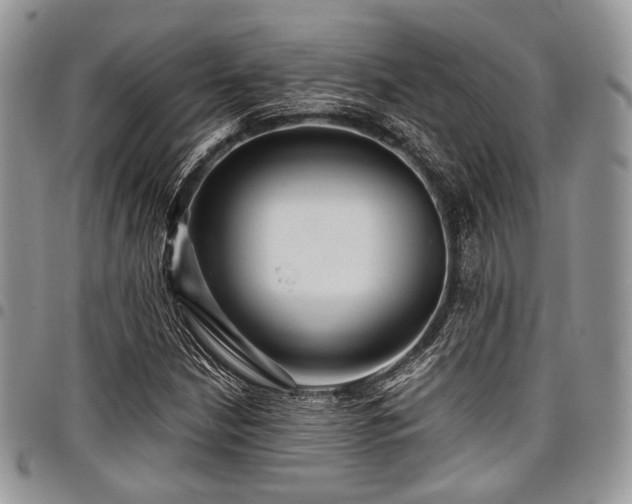 X0000098011210200803281305