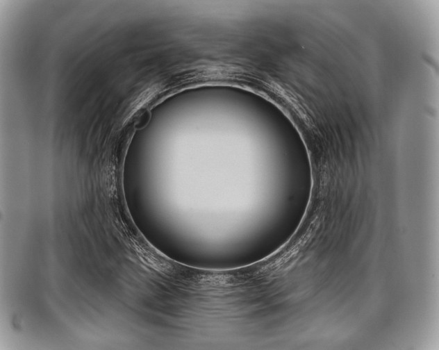 X0000098011211200803281305