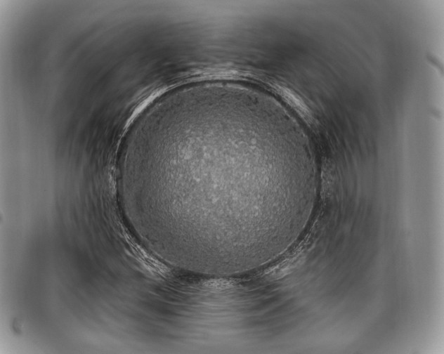 X0000098011212200803281305