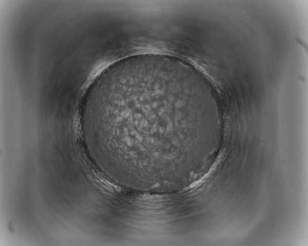 X0000098011215200803281305