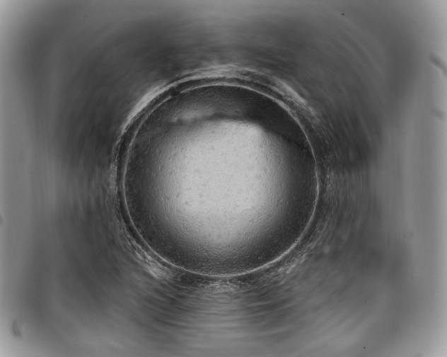 X0000098011216200803281305