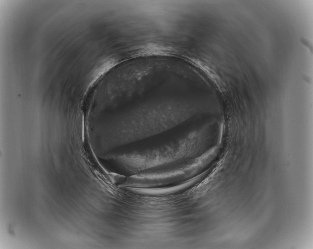 X0000098011219200803281305