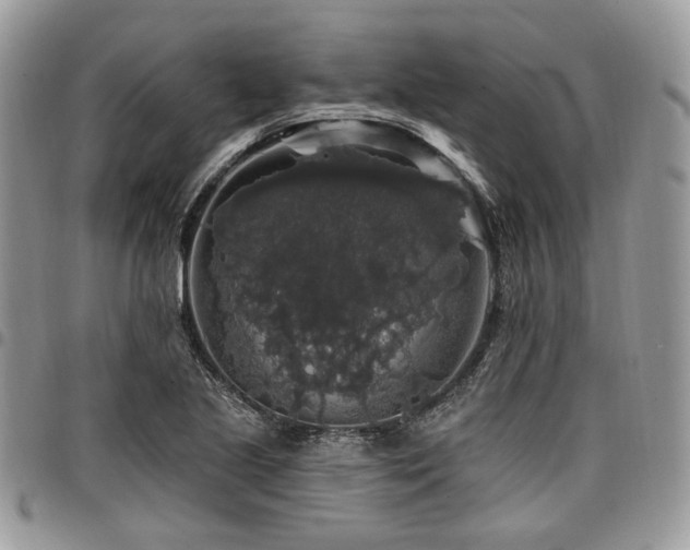 X0000098011221200803281305