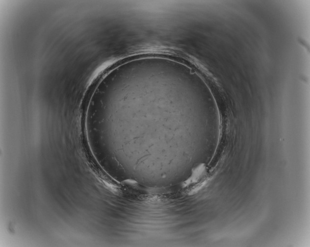 X0000098011222200803281305