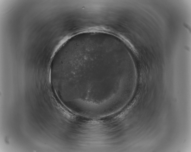 X0000098011224200803281305