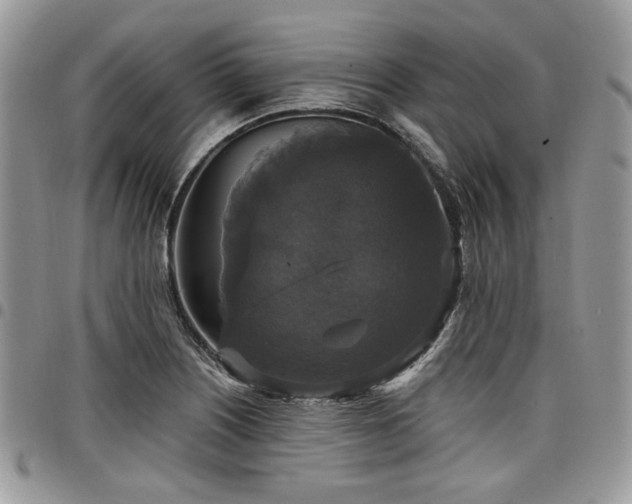 X0000098011226200803281305