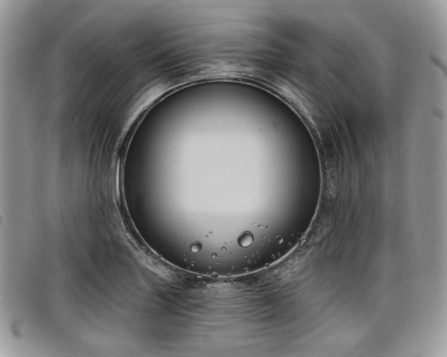 X0000098011227200803281305