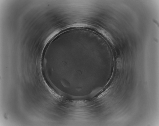 X0000098011229200803281305