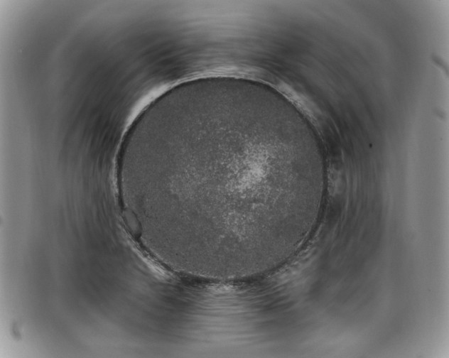 X0000098011230200803281305