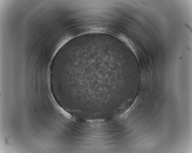 X0000098011235200803281305