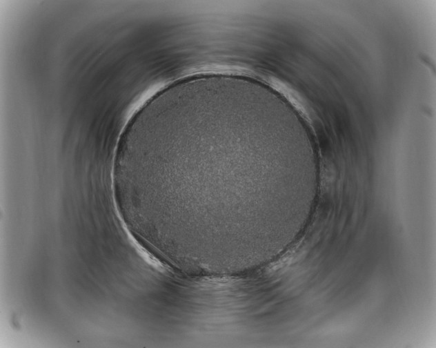 X0000098011237200803281305