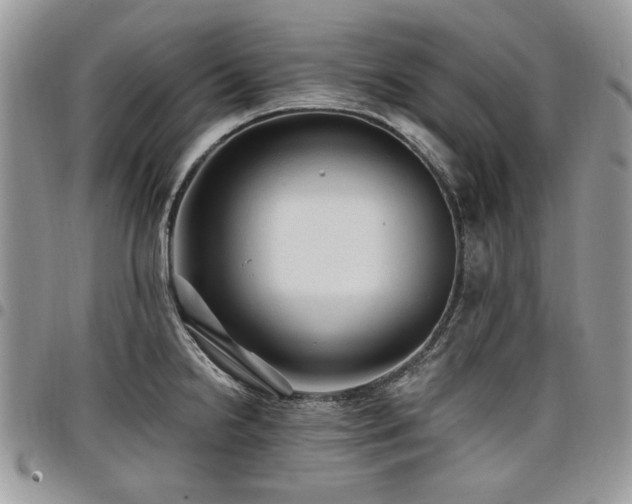 X0000098011238200803281305