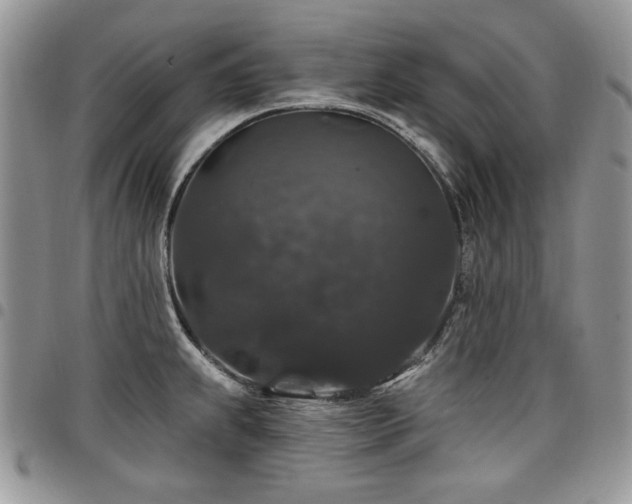 X0000098011239200803281305