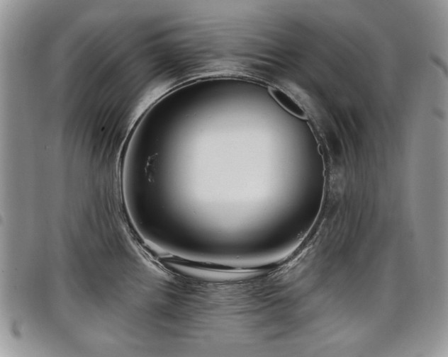 X0000098011242200803281305