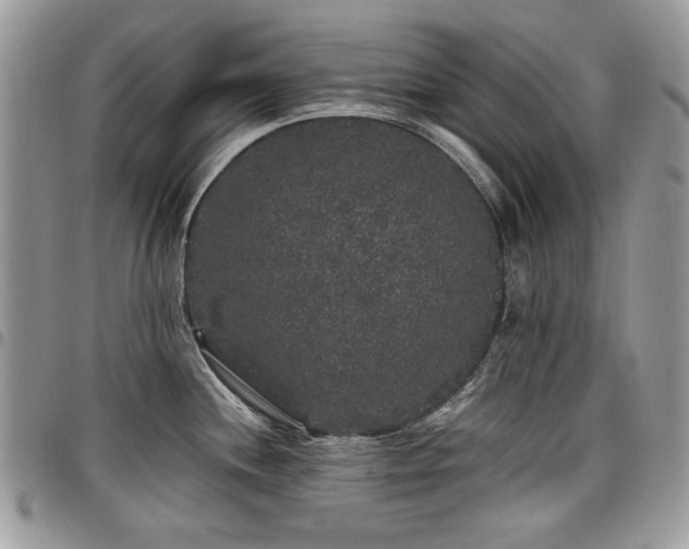 X0000098011244200803281305