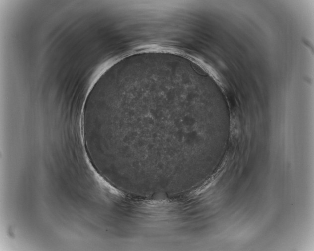 X0000098011247200803281305