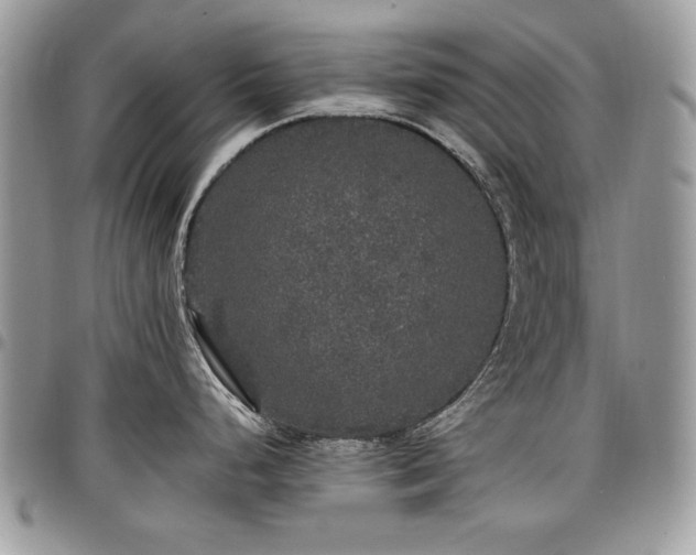 X0000098011248200803281305