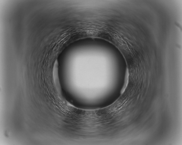 X0000098011249200803281304