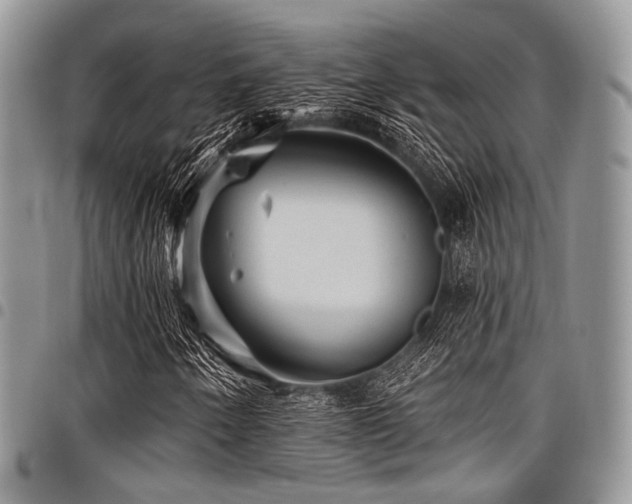 X0000098011250200803281304