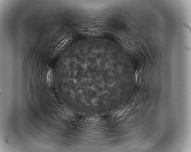 X0000098011251200803281304