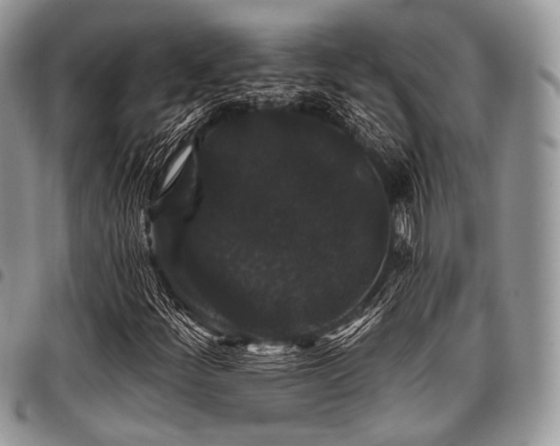 X0000098011252200803281304