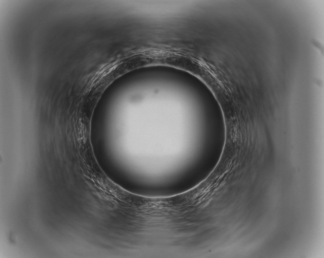 X0000098011253200803281304