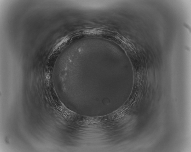 X0000098011254200803281304