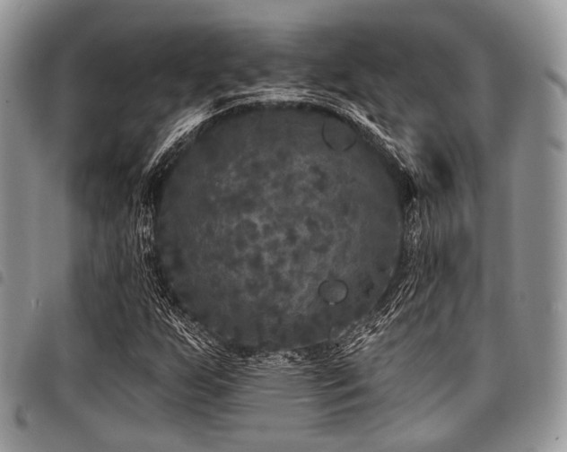 X0000098011255200803281304