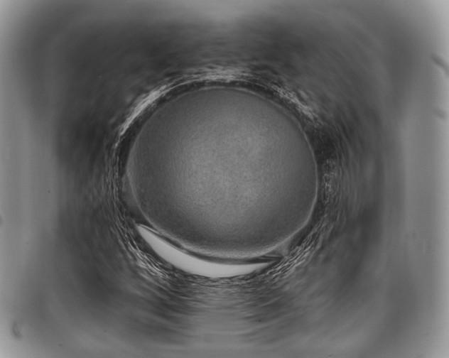 X0000098011256200803281304