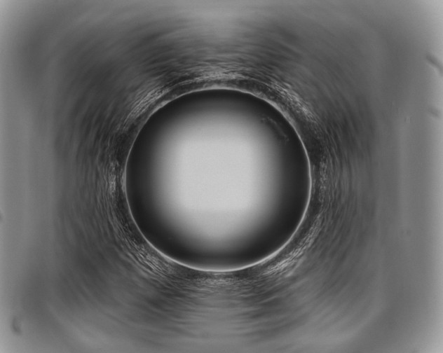 X0000098011257200803281304