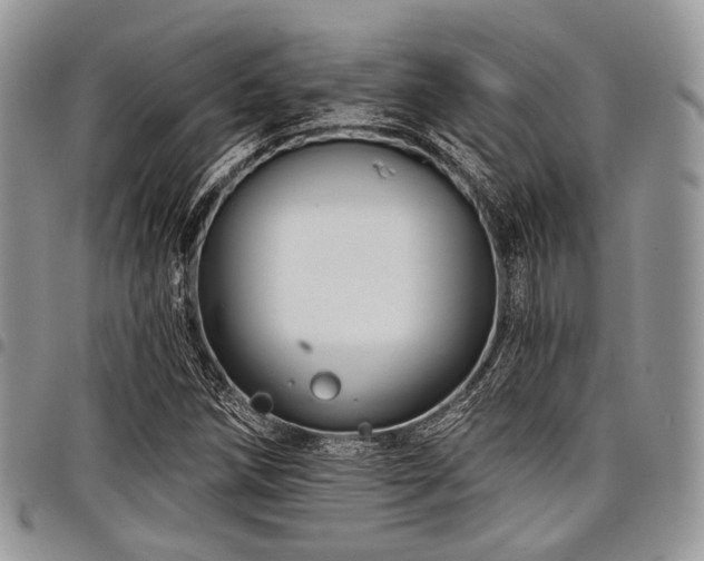 X0000098011258200803281304