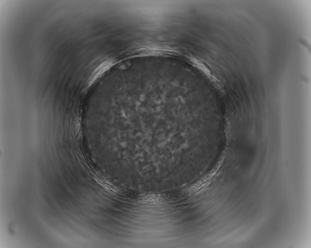 X0000098011259200803281304