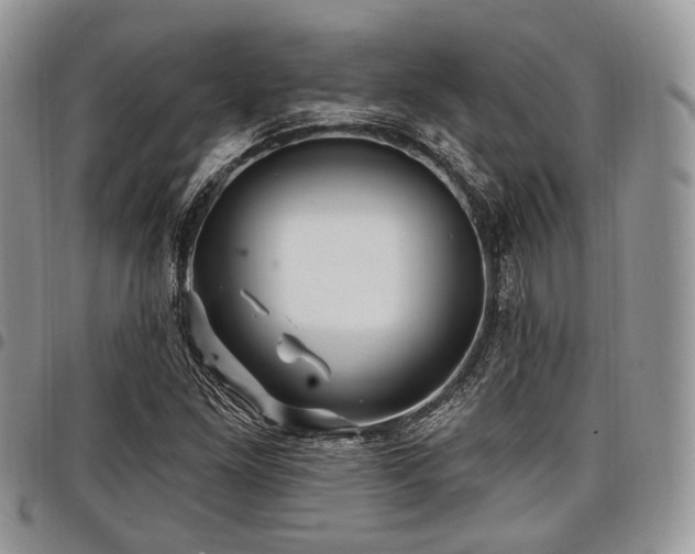 X0000098011261200803281304