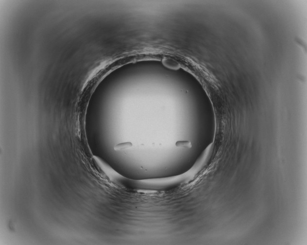 X0000098011262200803281304