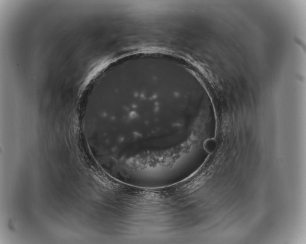 X0000098011263200803281304