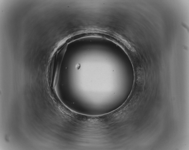 X0000098011264200803281304