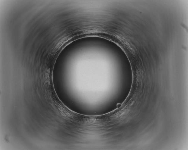 X0000098011265200803281304